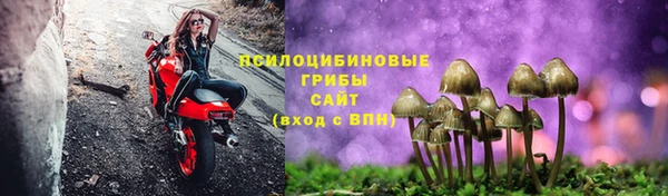 ECSTASY Остров